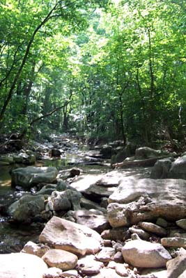 View of Fagen Spring