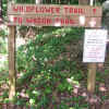Trail Sign with Rules