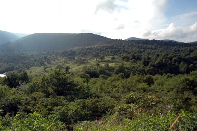 Graveyard Fields