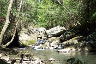 Rocky Stream on Fiery Gizzard Trail